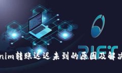 Tokenim转账迟迟未到的原因及解决方法