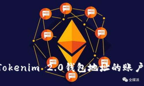 如何找回Tokenim 2.0钱包地址的账户:详尽指南