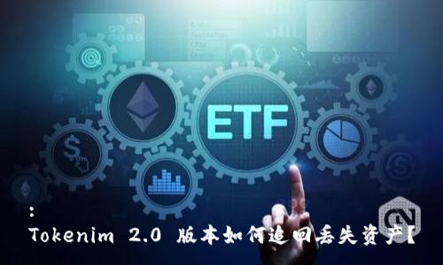 :
Tokenim 2.0 版本如何追回丢失资产?