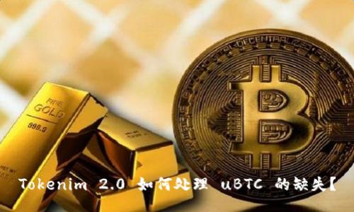 Tokenim 2.0 如何处理 uBTC 的缺失？
