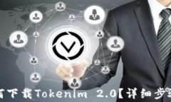 安卓系统如何下载Tokenim 2.0?详细步骤与注意事项