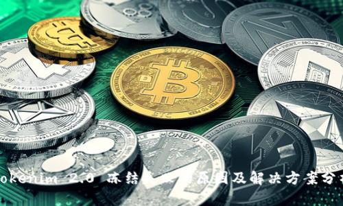 Tokenim 2.0 冻结失败的原因及解决方案分析