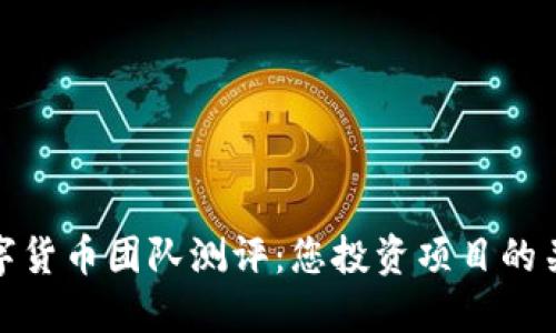 加密数字货币团队测评：您投资项目的关键依据