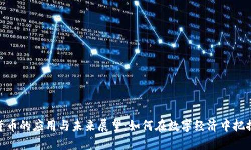 加密货币的应用与未来展望：如何在数字经济中把握机遇