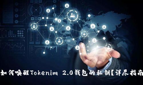 如何唤醒Tokenim 2.0钱包的私钥?详尽指南