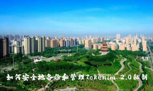 如何安全地备份和管理Tokenim 2.0私钥