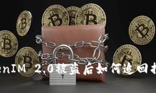 TokenIM 2.0被盗后如何追回损失?