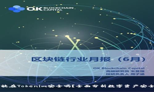 币放在Tokenim安全吗?全面分析数字资产安全性