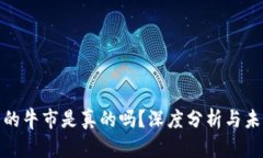 加密货币圈的牛市是真的吗?深度分析与未来趋