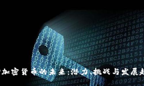 ISP加密货币的未来：潜力、挑战与发展趋势