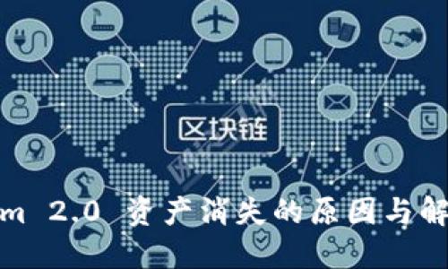 Tokenim 2.0 资产消失的原因与解决方案
