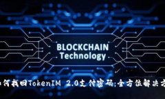  如何找回TokenIM 2.0支付密码：全方位解决方案