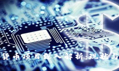德国加密货币项目深入解析：现状与未来发展