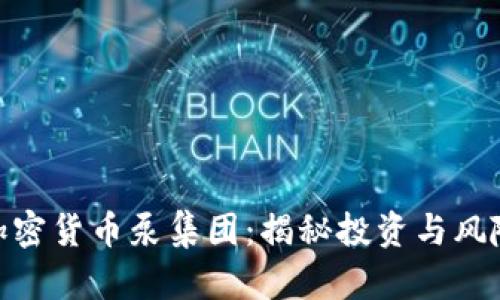 加密货币泵集团：揭秘投资与风险