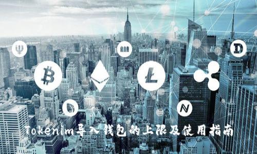 Tokenim导入钱包的上限及使用指南