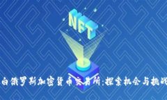 白俄罗斯加密货币交易所：探索机会与挑战