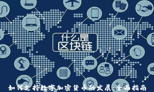 
如何支持数字加密货币的发展：全面指南
