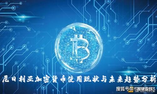尼日利亚加密货币使用现状与未来趋势分析