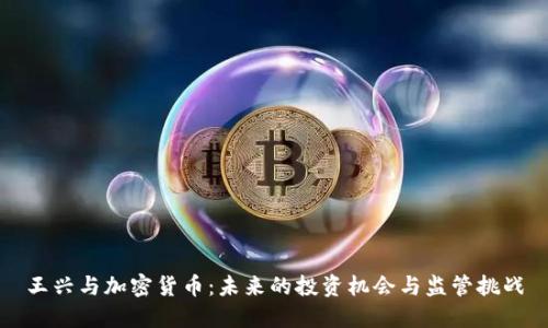 王兴与加密货币:未来的投资机会与监管挑战