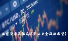 加密货币是骗局还是未来金融的希望？