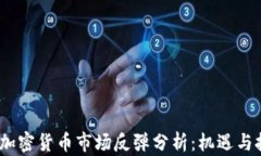 2023年加密货币市场反弹分析:机遇与挑战并存