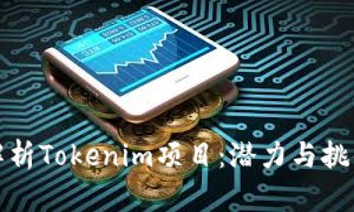 深入解析Tokenim项目：潜力与挑战并存