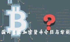 国内主要加密货币介绍与分析