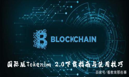 国际版Tokenim 2.0下载指南与使用技巧