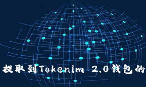 如何将币提取到Tokenim 2.0钱包的详细指南