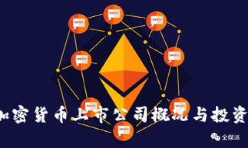 2023年加密货币上市公司概况与投资机会分析