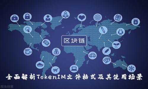 全面解析TokenIM文件格式及其使用场景
