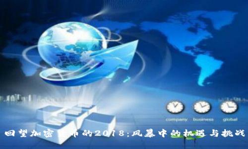 回望加密货币的2018：风暴中的机遇与挑战