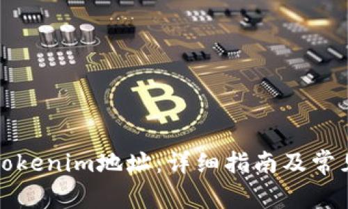 如何导入Tokenim地址：详细指南及常见问题解答