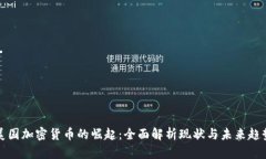 美国加密货币的崛起：全面解析现状与未来趋势
