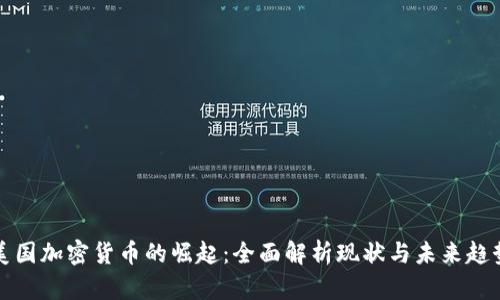 美国加密货币的崛起：全面解析现状与未来趋势