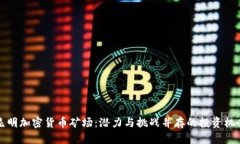 昆明加密货币矿场：潜力与挑战并存的投资机会