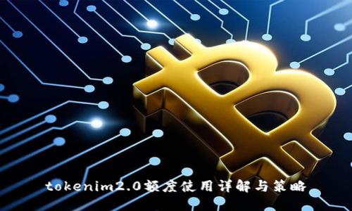 tokenim2.0额度使用详解与策略