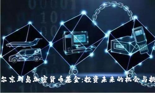 维尔京群岛加密货币基金：投资未来的机会与挑战