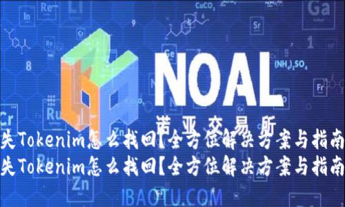 丢失Tokenim怎么找回？全方位解决方案与指南  
丢失Tokenim怎么找回？全方位解决方案与指南