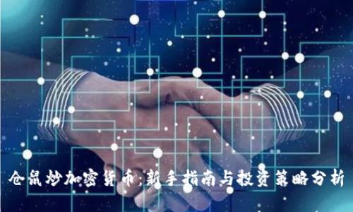 仓鼠炒加密货币：新手指南与投资策略分析