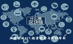  加密货币SIT：投资前景与市场分析
