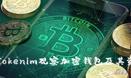 如何用Tokenim观察加密钱包及其资产动态