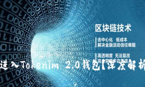 传销币能否进入Tokenim 2.0钱包？深度解析与风险提示