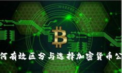 如何有效区分与选择加密货币公链