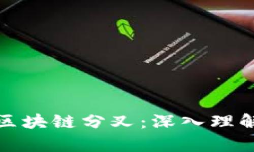 加密货币与区块链分叉：深入理解与应用解析
