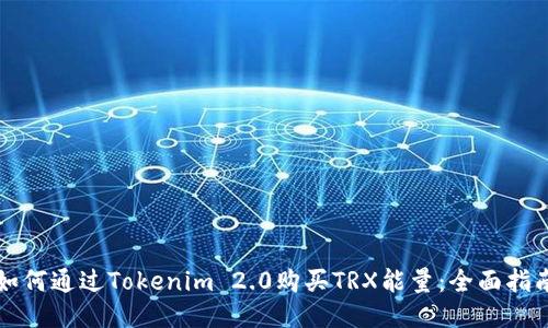 如何通过Tokenim 2.0购买TRX能量：全面指南