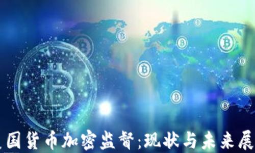 
美国货币加密监督：现状与未来展望
