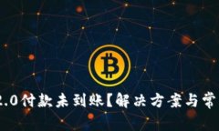 Tokenim 2.0付款未到账？解决方案与常见问题解析