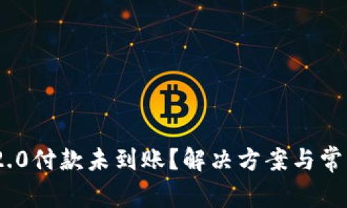 Tokenim 2.0付款未到账？解决方案与常见问题解析