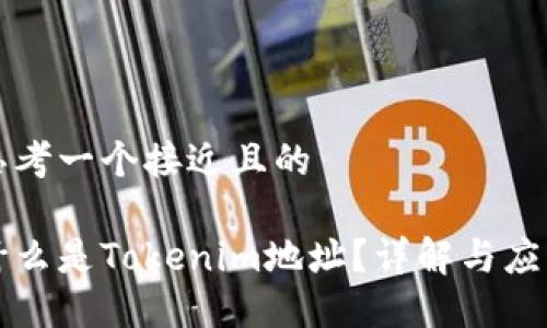 思考一个接近且的

什么是Tokenim地址？详解与应用